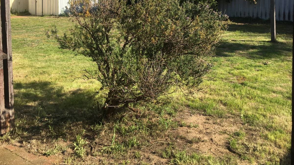 1 Illabrook Street, DUDLEY PARK, WA 6210 AUS