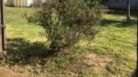 1 Illabrook Street, DUDLEY PARK, WA 6210 AUS