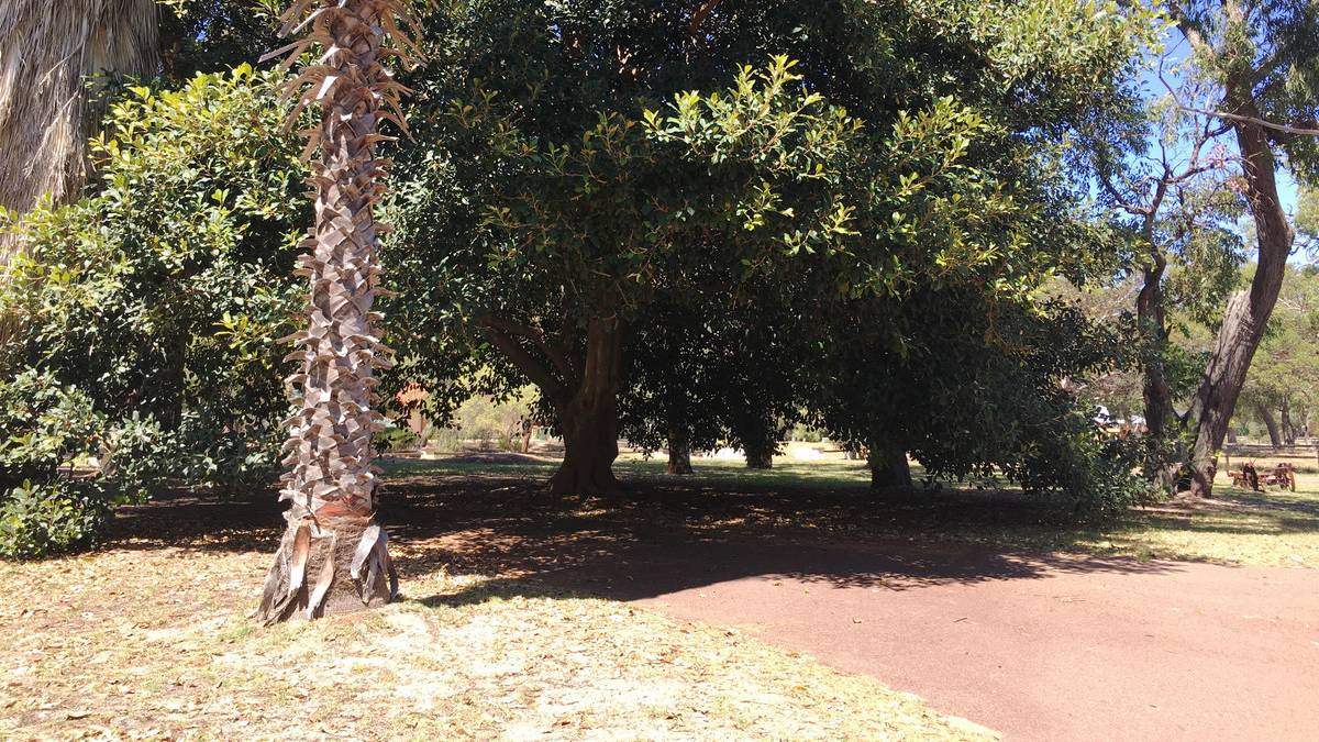 4 Pleasant Grove Circle, FALCON, WA 6210 AUS