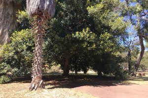 4 Pleasant Grove Circle, FALCON, WA 6210 AUS