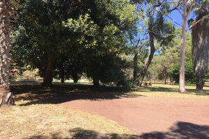 4 Pleasant Grove Circle, FALCON, WA 6210 AUS
