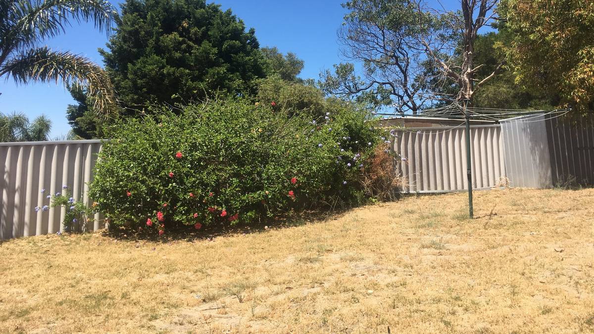 32 Casuarina Drive, HALLS HEAD, WA 6210 AUS