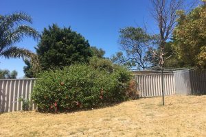 32 Casuarina Drive, HALLS HEAD, WA 6210 AUS
