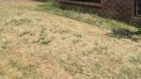 1 Illabrook Street, Dudley Park, WA 6210 AUS