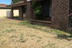 1 Illabrook Street, Dudley Park, WA 6210 AUS
