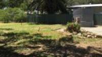 12 Olive Road, Falcon, WA 6210 AUS