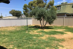 15A Mercedes Avenue, FALCON, WA 6210 AUS
