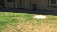 15A Mercedes Avenue, Falcon, WA 6210 AUS