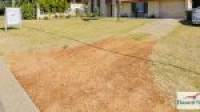 19 Sandra Street, Falcon, WA 6210 AUS
