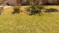 14 McKerracher Street, Dudley Park, WA 6210 AUS