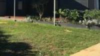 1 Mistral Street, Falcon, WA 6210 AUS