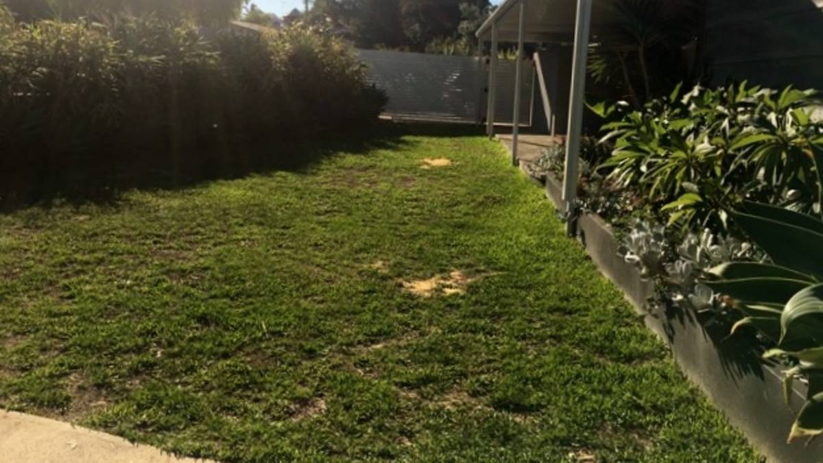 1 Mistral Street, Falcon, WA 6210 AUS