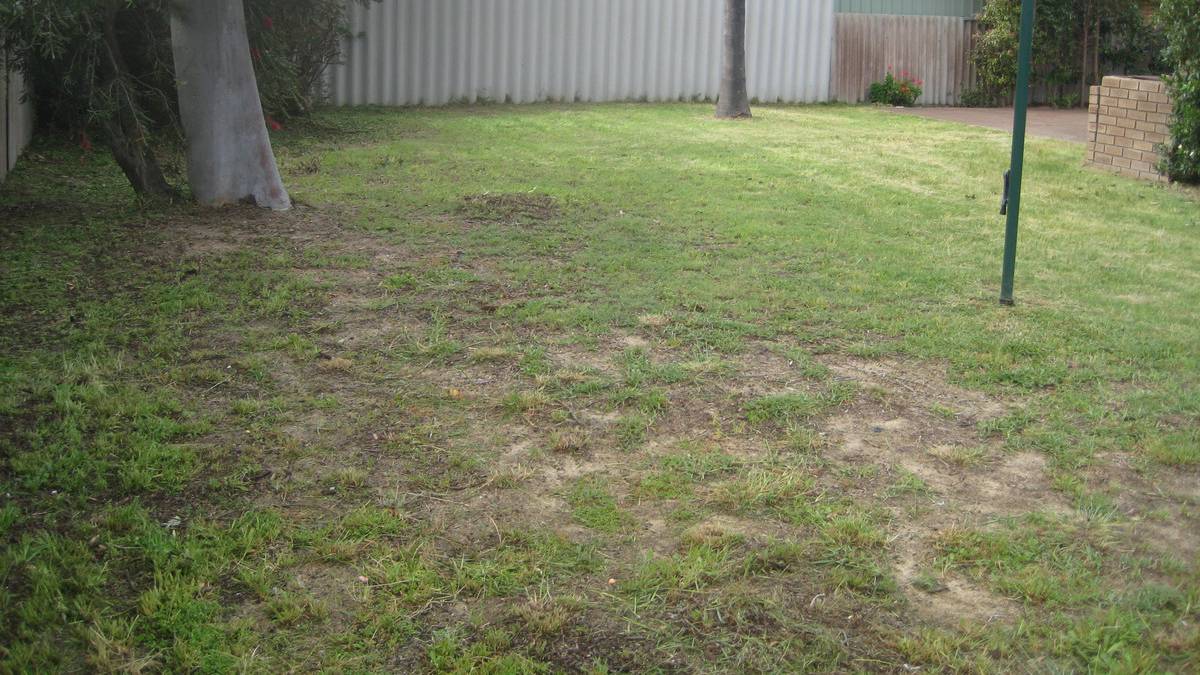 14 Tuart Road, GREENFIELDS, WA 6210 AUS