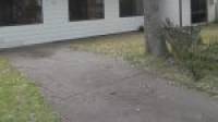 12 Olive Road, Falcon, WA 6210 AUS