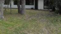 12 Olive Road, Falcon, WA 6210 AUS