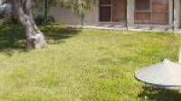15A Mercedes Avenue, Falcon, WA 6210 AUS