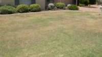 1/35 Charon Road, Falcon, WA 6210 AUS