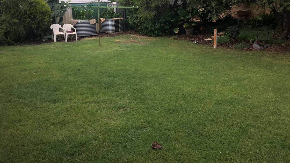 28 Treasure Road, Singleton, WA 6175 AUS