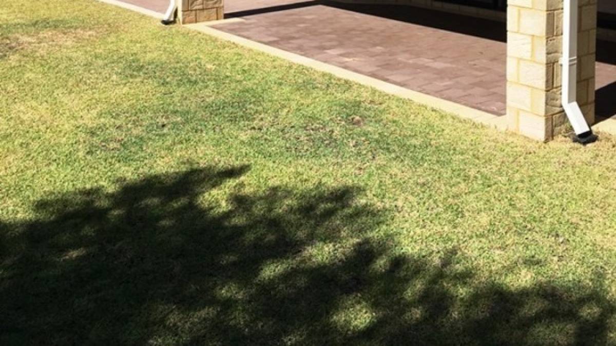 3 Adriana Way, HALLS HEAD, WA 6210 AUS
