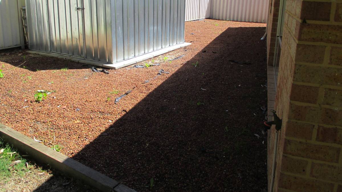 11 Pinkett Close, Dawesville, WA 6211 AUS