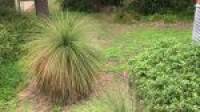 3 Tanjinn Street, DAWESVILLE, WA 6211 AUS