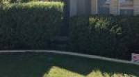 8/28 Irrawaddy Drive, Greenfields, WA 6210 AUS