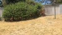 32 Casuarina Drive, HALLS HEAD, WA 6210 AUS
