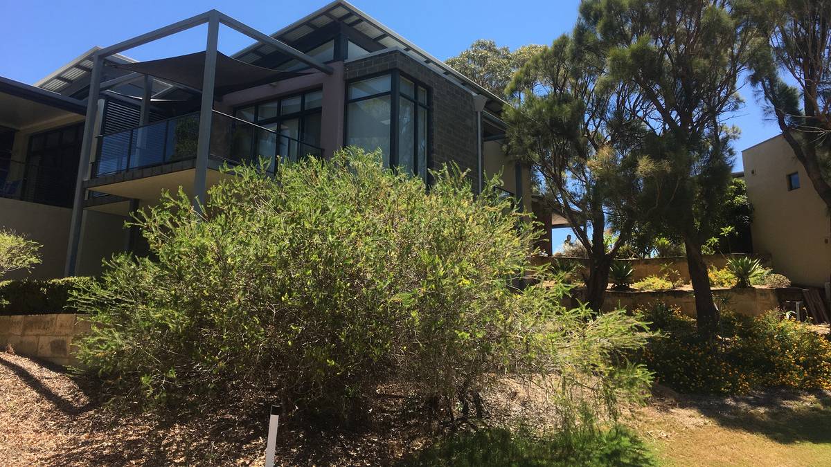 12 Golfers Retreat, Halls Head, WA 6210 AUS