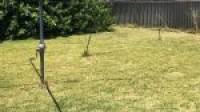 21 Kitchener Street, DUDLEY PARK, WA 6210 AUS