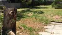 12 Olive Road, Falcon, WA 6210 AUS