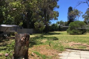12 Olive Road, Falcon, WA 6210 AUS