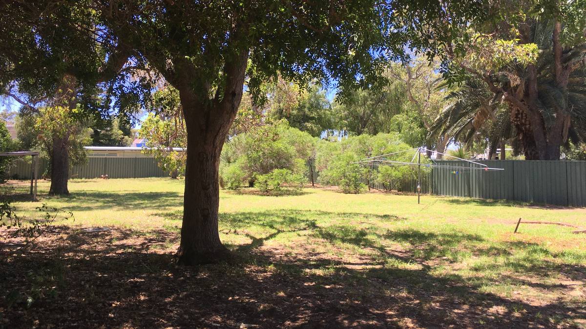 12 Olive Road, Falcon, WA 6210 AUS