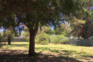 12 Olive Road, Falcon, WA 6210 AUS