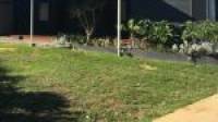 1 Mistral Street, Falcon, WA 6210 AUS