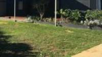 1 Mistral Street, Falcon, WA 6210 AUS