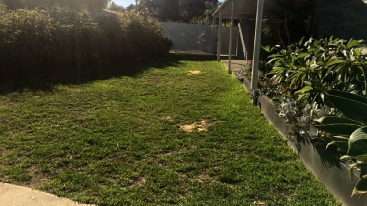 1 Mistral Street, Falcon, WA 6210 AUS