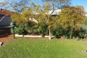 5 Signet Court, WANNANUP, WA 6210 AUS