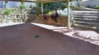 4 Selloa Court, Halls Head, WA 6210 AUS