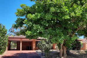 17 Hillway Street, Dawesville, WA 6211 AUS