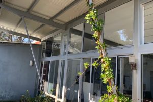 39 Donnybrook Turn, Dawesville, WA 6211 AUS