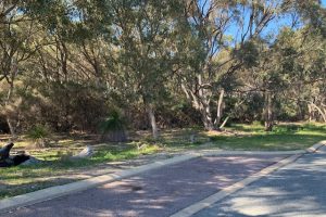 39 Donnybrook Turn, Dawesville, WA 6211 AUS