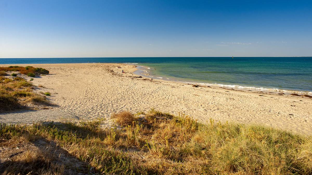 14 Lilly Pilly Lookout, HALLS HEAD, WA 6210 AUS