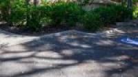 6 Saffron Loop, FALCON, WA 6210 AUS