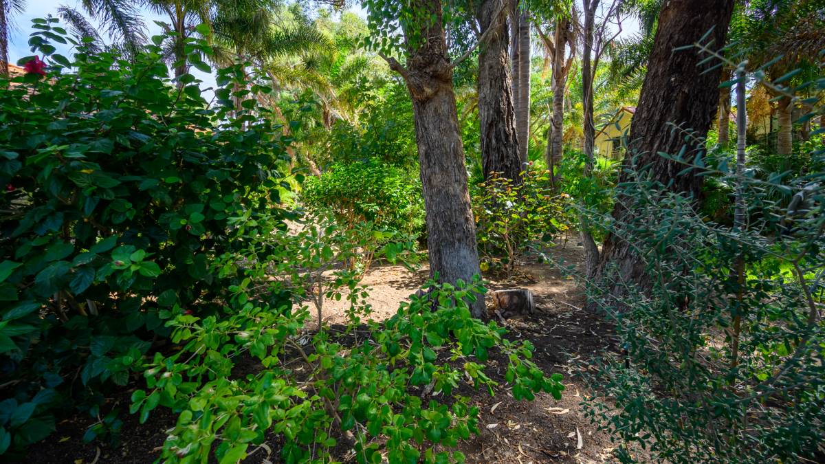 6 Saffron Loop, FALCON, WA 6210 AUS