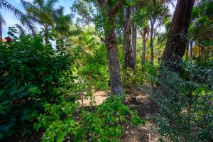 6 Saffron Loop, FALCON, WA 6210 AUS