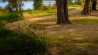 6 Saffron Loop, FALCON, WA 6210 AUS
