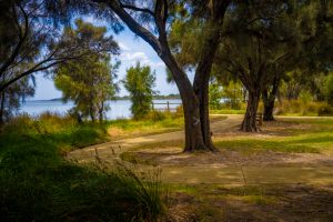 6 Saffron Loop, FALCON, WA 6210 AUS
