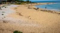 6 Saffron Loop, FALCON, WA 6210 AUS