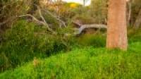 49 Willoughbridge Crescent, Erskine, WA 6210 AUS