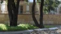 8 Still Meadow Turn, Meadow Springs, WA 6210 AUS